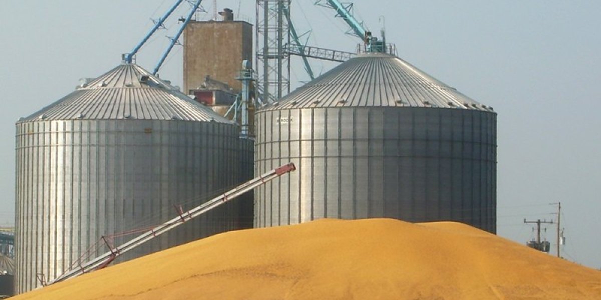 Карантинное фитосанитарное обеззараживание продукции в силосах