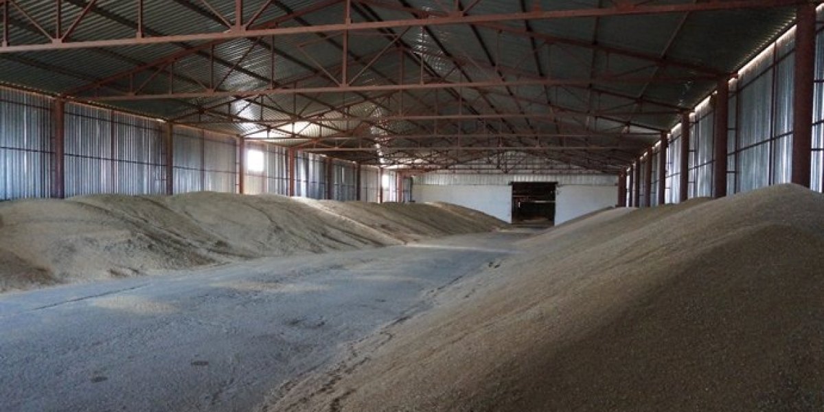 Карантинное фитосанитарное обеззараживание продукции в складах